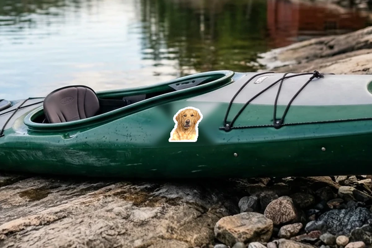 Golden retriever – dekal av eget foto, applicerad i verklig miljö